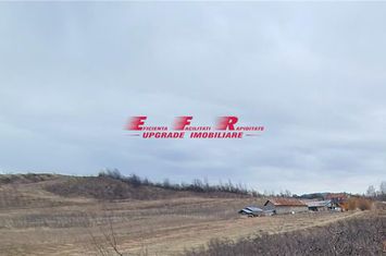 Teren Intravilan de vanzare BREAZA - Prahova anunturi imobiliare Prahova