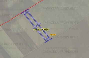 Teren 55.400 mp Vasilati Tarla 140 Parcela 17 anunturi imobiliare Calarasi