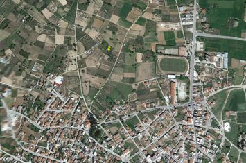 Teren 1.800 mp cu măslini în Nigrita, Serres anunturi imobiliare Grecia