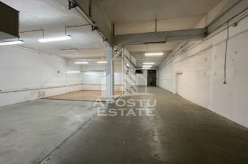 Hala de 670 mp cu birouri 50 mp,  Zona Semicentrala anunturi imobiliare Timis