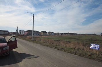 Domnesti-Crengutei-Narciselor anunturi imobiliare Bucuresti