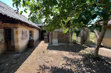 Casă - 3 camere de vanzare SATU MARE - Satu Mare anunturi imobiliare Satu Mare