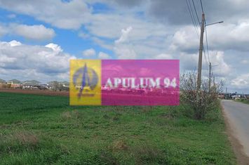 Săbăreni, teren intravilan 1000 mp, cu utilitati în apropiere anunturi imobiliare Giurgiu