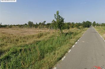 Teren Extravilan de vanzare GAROAFA - Vrancea anunturi imobiliare Vrancea