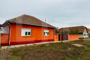Casă - 3 camere de vanzare MACEA - Arad anunturi imobiliare Arad