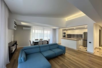 Penthouse 4 camere 247 mp Drumul Lapus Sector 1 anunturi imobiliare Bucuresti