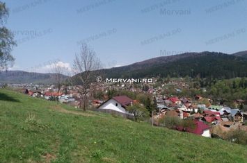 Teren de vânzare în Bușteni anunturi imobiliare Prahova