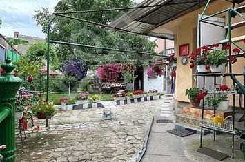 Casa cu teren de vanzare ultracentral in Oradea anunturi imobiliare Bihor