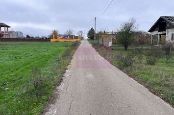 Teren Comana- strada Funieru. anunturi imobiliare Giurgiu
