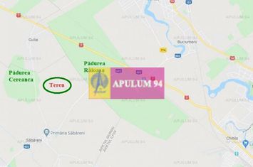 Săbăreni, teren intravilan construibill, la 300 m de pădure anunturi imobiliare Giurgiu