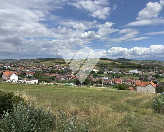 Teren Sura Mare, 1198 mp