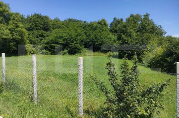 Teren de vanzare SIRET - Suceava anunturi imobiliare Suceava