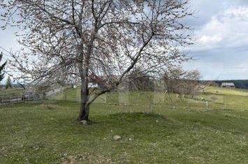 Teren de vanzare MARISEL - Cluj anunturi imobiliare Cluj