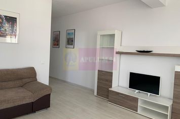 Garsonieră spațioasă cu bucătărie separată și balcon – Drumul Binelui anunturi imobiliare Bucuresti