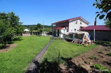 Casa P+1, cu 7 camere + living in Com Teslui !! anunturi imobiliare Olt