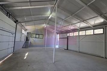 Hală producție sau depozit de vânzare sau închiriere anunturi imobiliare Prahova