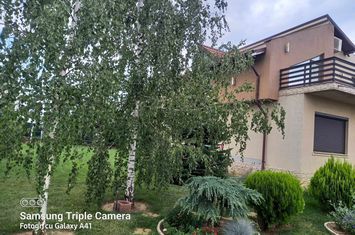 TARGOVISTE-PRISEACA vila deosebit de atractiva, garaj, teren 1000 mp anunturi imobiliare Dambovita