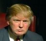 Emiratele Arabe Unite: si Donald Trump amână proiecte
