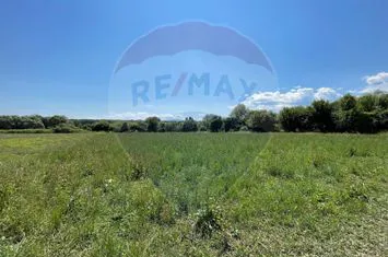 TEREN  INTRAVILAN  5000mp ORAS CISNADIE  STR. SELIMBARULUI anunturi imobiliare Sibiu