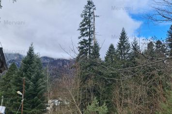 Vilă de vânzare în Sinaia anunturi imobiliare Prahova