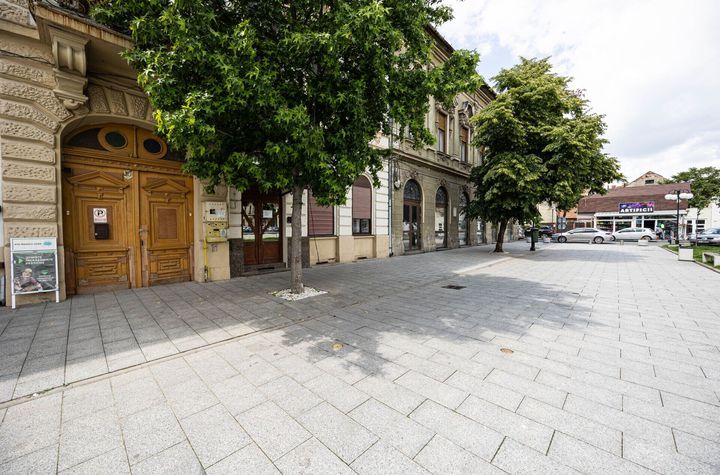 Apartament cu o cameră, Ideal pentru tineri, Piața Catedralei, Arad. anunturi imobiliare Arad