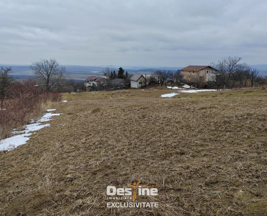 Teren Mogosesti, 2091 mp