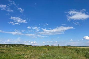Parcele teren Nojorid 600 mp. 28 500 E neg. Comision 0 anunturi imobiliare Bihor