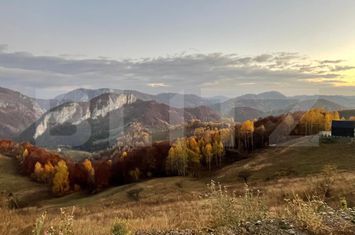 Teren de vanzare PONOREL - Alba anunturi imobiliare Alba