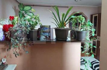 Garsonieră de vanzare SATU MARE - Satu Mare anunturi imobiliare Satu Mare