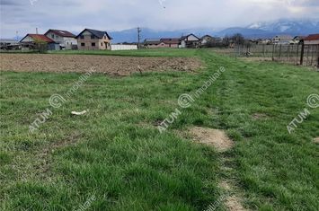 Teren Intravilan de vanzare AVRIG - Sibiu anunturi imobiliare Sibiu