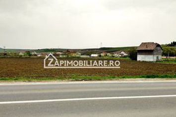 Teren 5800 mp,150m de Aeroport deschidere 58m la E60,20 euro anunturi imobiliare Mures