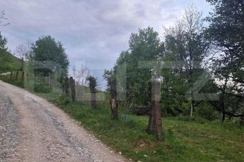 Teren de vanzare CAMPENI - Alba anunturi imobiliare Alba