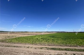 Teren Intravilan de vanzare CALEA SURII MICI - Sibiu anunturi imobiliare Sibiu