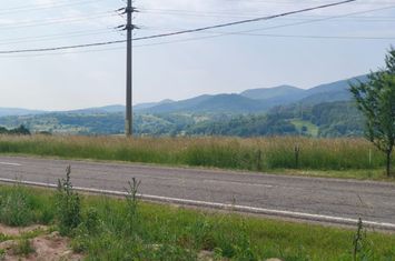 Casă - 3 camere de vanzare RADAUTI - Suceava anunturi imobiliare Suceava