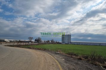 TEREN INDUSTRIAL 8000 MP – LA DN4, ACCES DIRECT! anunturi imobiliare Bucuresti