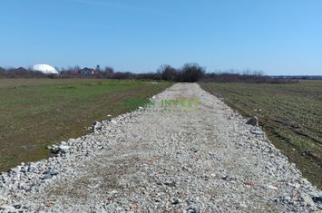 Teren de vânzare – 1200 mp, Săftica - DN 1 anunturi imobiliare Bucuresti