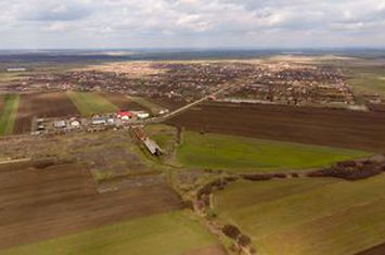 Fermă cu teren intravilan de 35000 mp în Mișca anunturi imobiliare Arad