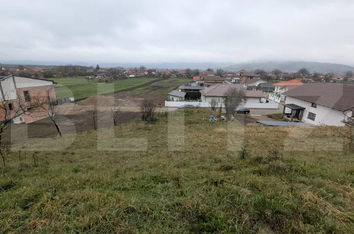 Teren de vanzare VINTU DE JOS - Alba anunturi imobiliare Alba