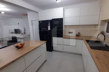 Vilă - 4 camere de inchiriat LIVEZENI - Mures anunturi imobiliare Mures