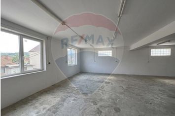 Spatiu de birouri, 160 mp, ideal multiple activitati-Inchiriere anunturi imobiliare Sibiu