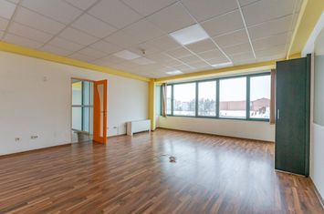 Închiriere spațiu birouri Patria: 194 mp total cu opțiune de fracționare anunturi imobiliare Brasov