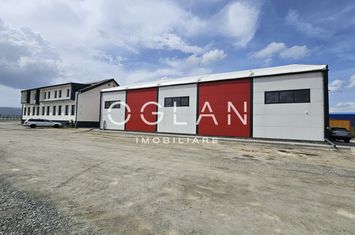 Spațiu comercial de vanzare SIBIU - Sibiu anunturi imobiliare Sibiu