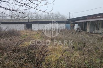 Spatiu Industrial/Depozit - Zona Borsa- Cluj - 330 mp Open Space anunturi imobiliare Cluj