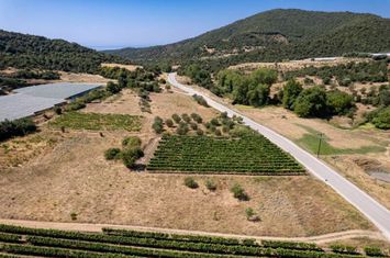 Teren agricol 2.500 mp în Mirtofito, Kavala anunturi imobiliare Grecia
