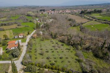 Teren construibil 4.000 mp în Oreskia anunturi imobiliare Grecia