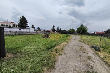 Teren Intravilan de vanzare NORD-EST - Harghita anunturi imobiliare Harghita