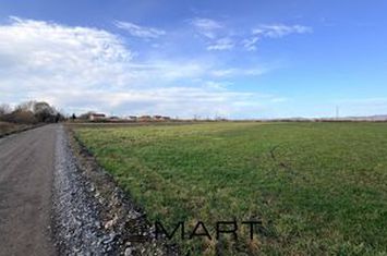 Teren de vanzare PREJMER - Brasov anunturi imobiliare Brasov