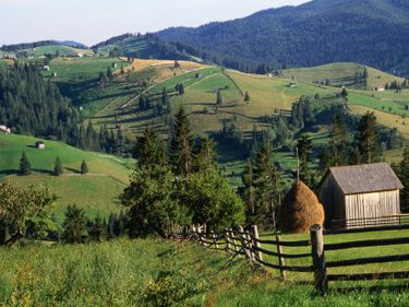 Udrea a primit undă verde de la Guvern!