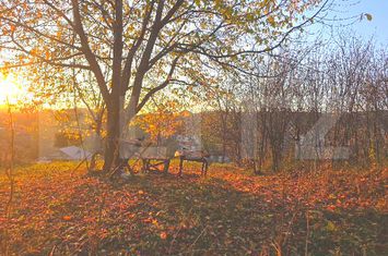 Teren de vanzare TARGOVISTE - Dambovita anunturi imobiliare Dambovita