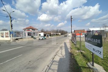 Teren de vanzare VALEA ROSIE - Dolj anunturi imobiliare Dolj